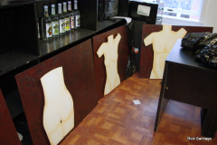 Torso 2011
