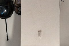 Curiosity is the lust of the mind