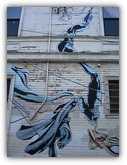 San Francisco - Mission District Graffiti