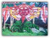 San Francisco - Mission District Graffiti