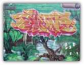 San Francisco - Mission District Graffiti