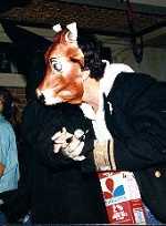 Holloween in Georgetown