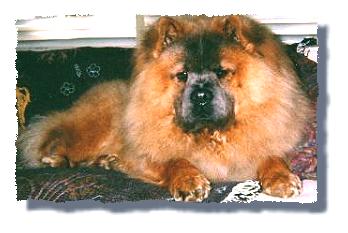 Her Majesty - Pickles