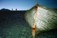 Blue Heron Editons, www.blueheroneditions.com